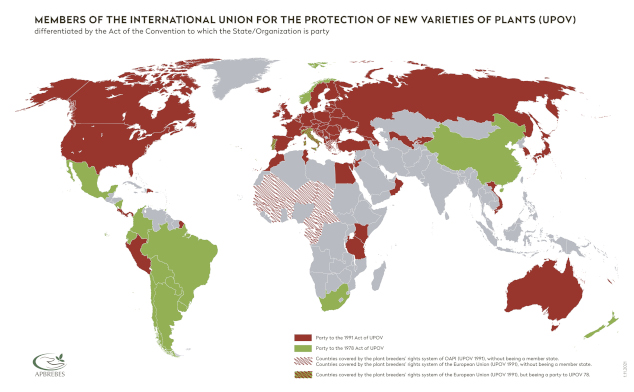 Worldmap